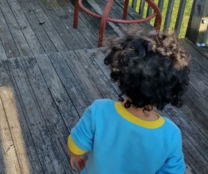 how to do toddler's hair 
